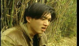 林挺生电影,光影岁月里的传奇导演
