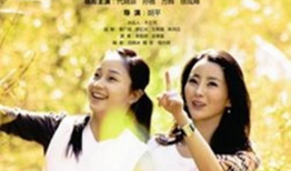 爱恋相似的电影,一部揭示爱情共鸣的电影之旅