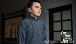 雷佳音主演的电影,光影交织的银幕传奇