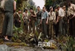 原始森林的电影,探寻自然奥秘的神秘之旅