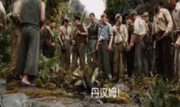 原始森林的电影,探寻自然奥秘的神秘之旅