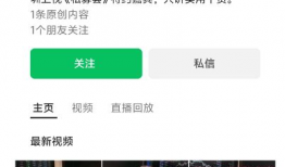 斩虎直播回放91主播视频,惊心动魄的刺激瞬间