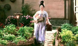 国色芳华,探寻中华传统美学的瑰宝与传承
