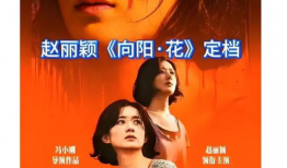 向阳花电影,绽放希望的人间奇迹