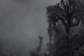 哀牢山,自然奇观与民族文化的瑰宝