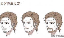 漫画下巴,揭示人物性格与命运的神秘符号