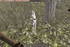 三级七日情电影,揭秘激情与欲望的漩涡