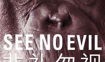 非礼勿视电影,揭秘电影背后的道德困境与人性挣扎