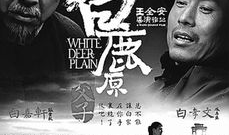 白鹿原电影,历史与现实的交织