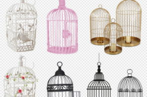 鸟笼漫画,揭示心理暗示的奇妙力量